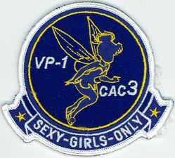 Patrol Squadron 1 (VP-1) CAC 3 
VP-1 "Screaming Eagles"
Established as VB-128 on 15 Feb 1943.
Redesignated VPB-128 on 1 Oct 1944; VP-128 on 15 May 1946; VP-ML-1 on 15 Nov 1946; VP-1 (5th VP-1) on 1
Sep 1948.
Lockheed P-3C UIIIR Orion
