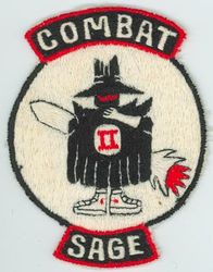 1st Test Squadron COMBAT SAGE

