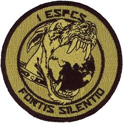 1st Expeditionary Space Control Squadron Morale
Keywords: OCP