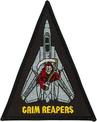 Fighter Squadron 101 (VF-101) F-14 Tomcat
Established as Fighter Squadron ONE HUNDRED ONE (VF-101) “Grim Reapers” on 1 May 1952. VF-101 merged with the Fleet All Weather Training Unit Atlantic (FAWTUALT) in Apr 1958. Disestablished on 30 Sep 2005. 

East coast F-14 Fleet Replacement Squadron.

Grumman F-14A/B Tomcat, 1976-2005


