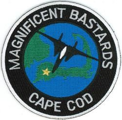 101st Fighter Squadron F-15
