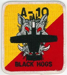 103d Fighter Squadron A-10
