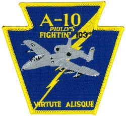 103d Fighter Squadron A-10
