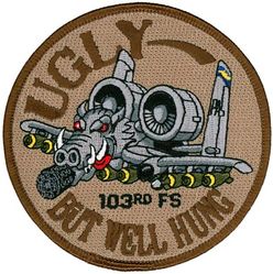 103d Fighter Squadron A-10
Keywords: desert