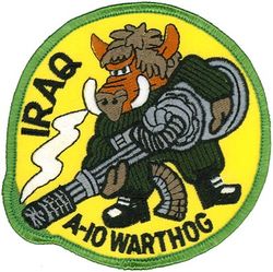 104th Fighter Squadron A-10

