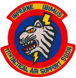 11th Tactical Air Support Squadron 
