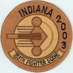 113th Fighter Squadron 
Keywords: desert