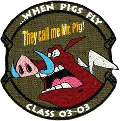  Joint Surveillance Target Attack Radar System Initial Qualification Training Class 2003-03

