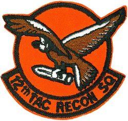 12th Tactical Reconnaissance Squadron 
