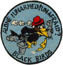 12th Tactical Reconnaissance Squadron, Night Photographic 
