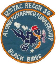 12th Tactical Reconnaissance Squadron 
