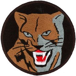 120th Fighter Squadron Heritage 
