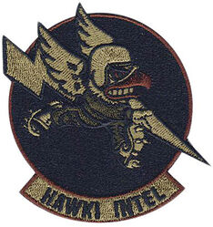 124th Attack Squadron Intelligence
Keywords: OCP