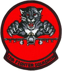 13th Fighter Squadron F-16
