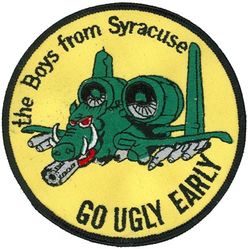 138th Tactical Fighter Squadron A-10
