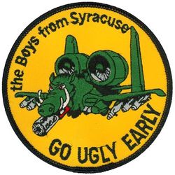 138th Tactical Fighter Squadron A-10
