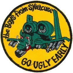138th Tactical Fighter Squadron A-10
