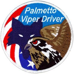 157th Fighter Squadron F-16 Pilot Swirl
