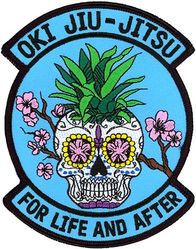 17th Special Operations Squadron Morale
