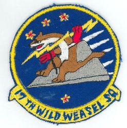 17th Wild Weasel Squadron 
