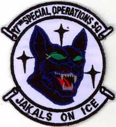 17th Special Operations Squadron 

