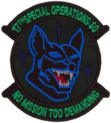 17th Special Operations Squadron 
