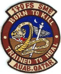 170th Fighter Squadron, Squadron Medical Element
Keywords: desert