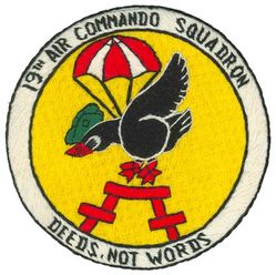 19th Air Commando Squadron
