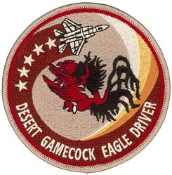 19th Fighter Squadron F-15 Pilot
Keywords: desert