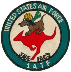 19th Tactical Air Support Squadron (Light) Jade Forward Air Controller
