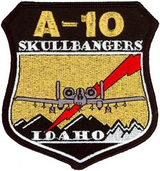 190th Fighter Squadron A-10 
