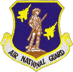 194th Fighter Squadron Air National Guard
