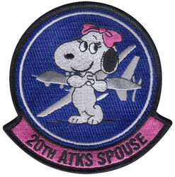 20th Attack Squadron Morale
