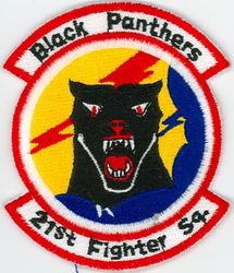 21st Fighter Squadron
