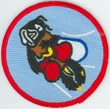 22d Tactical Fighter Squadron 
