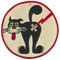Air Anti-Submarine Squadron 24 (VS-24) 
Established as Bomber Squadron SEVENTEEN (VB-17) on 1 Jan 1943. Redesignated Attack Squadron FIVE B (VA-5B) on 15 Nov 1946; Attack Squadron SIXTY FOUR (VA-64) on 1 Sep 1948; Composite Squadron TWENTY FOUR on 8 Apr 1949; Air Anti-Submarine Squadron TWENTY FOUR (VS-24) on 20 Apr 1950. Disestablished on 1 Jun 1956. Reestablished on 25 May 1960. Disestablished on 31 Mar 2007.

VS-24 “Duty Cat” insignia was originally given out to squadron members who had night qualified beginning in 1948. Still is used today.

Grumman TBM-3E Avenger, 1949 - 1951
Grumman AF-2S/W Guardian, 1951-1954
Grumman S2F-1 (S-2A) Tracker, 1954-1956

