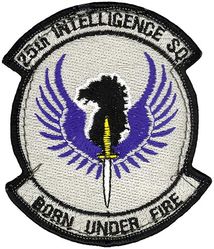 25th Intelligence Squadron
