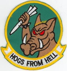 25th Fighter Squadron Morale
