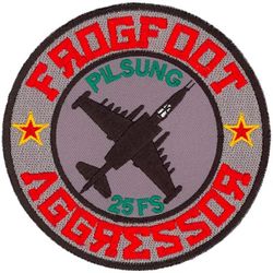 25th Fighter Squadron Aggressors 
