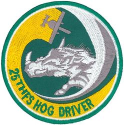 25th Fighter Squadron A-10 Pilot
