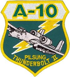 25th Fighter Squadron A-10
