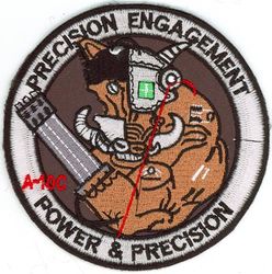 25th Fighter Squadron A-10C 
