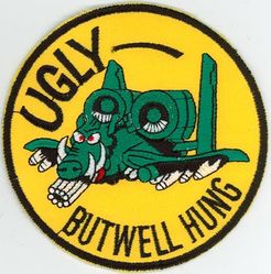 25th Fighter Squadron A-10
