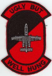 25th Fighter Squadron A-10
