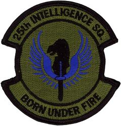 25th Intelligence Squadron
Keywords: subdued