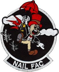 25th Fighter Squadron Nail FAC
