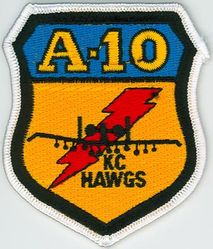 303d Fighter Squadron A-10

