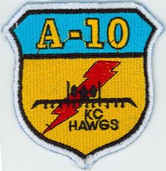 303d Fighter Squadron A-10
