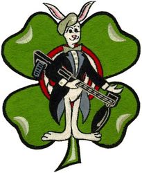 306th Fighter-Bomber Squadron and 306th Tactical Fighter Squadron 
