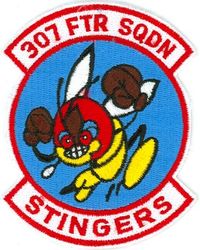 307th Fighter Squadron
